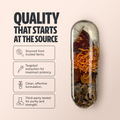 Organic Mushroom Complex Supplement Capsules