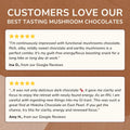 Forest Reserve™ Turkey Tail, Maitake, & Chaga Mushroom Chocolate Squares